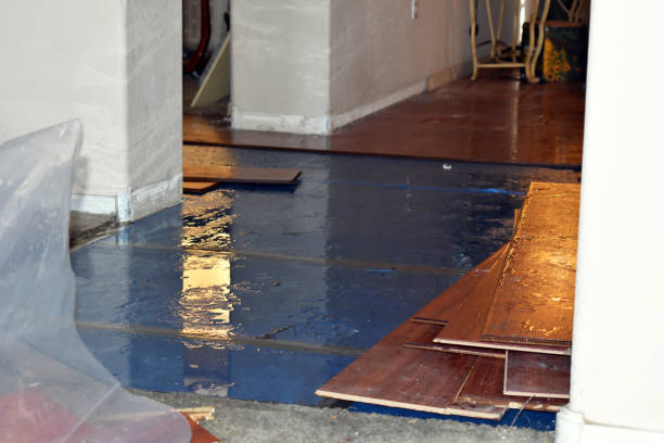 Professional Flood Cleanup technician working in Delton, MI